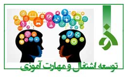 توسعه اشتغال و مهارت آموزی